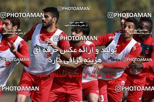 949296, Tehran, , Persepolis Football Team Training Session on 2017/11/22 at 