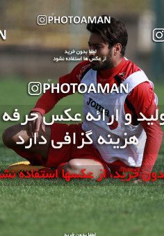 949221, Tehran, , Persepolis Football Team Training Session on 2017/11/22 at 