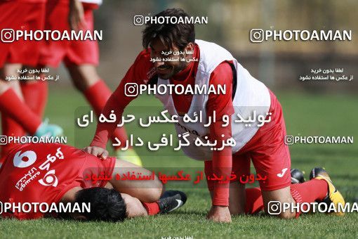949011, Tehran, , Persepolis Football Team Training Session on 2017/11/22 at 