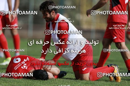 949116, Tehran, , Persepolis Football Team Training Session on 2017/11/22 at 