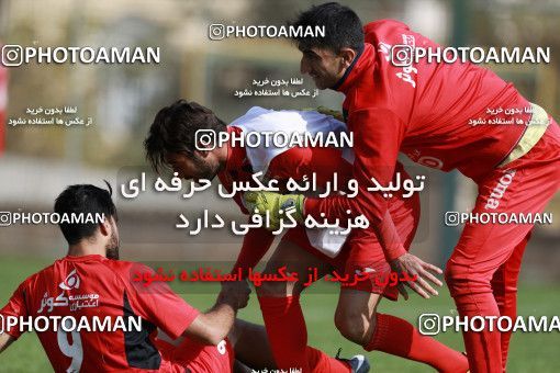 949558, Tehran, , Persepolis Football Team Training Session on 2017/11/22 at 