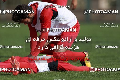 949553, Tehran, , Persepolis Football Team Training Session on 2017/11/22 at 