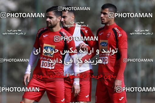 949568, Tehran, , Persepolis Football Team Training Session on 2017/11/22 at 