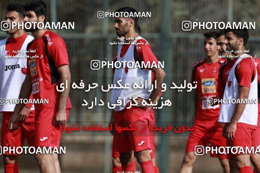 949318, Tehran, , Persepolis Football Team Training Session on 2017/11/22 at 