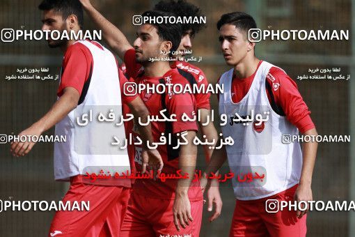 949244, Tehran, , Persepolis Football Team Training Session on 2017/11/22 at 