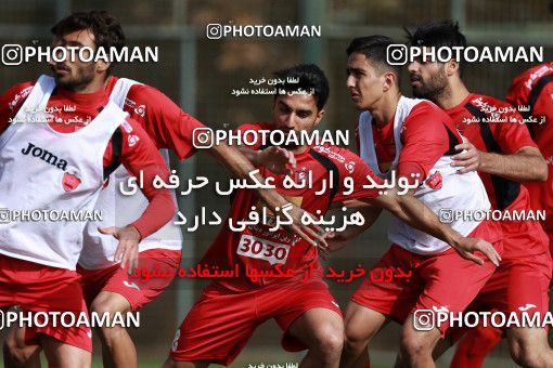 949492, Tehran, , Persepolis Football Team Training Session on 2017/11/22 at 