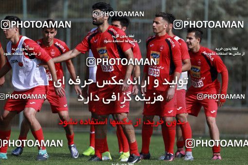 949336, Tehran, , Persepolis Football Team Training Session on 2017/11/22 at 