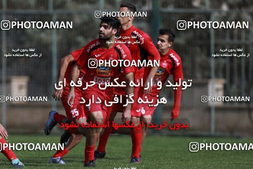 949085, Tehran, , Persepolis Football Team Training Session on 2017/11/22 at 