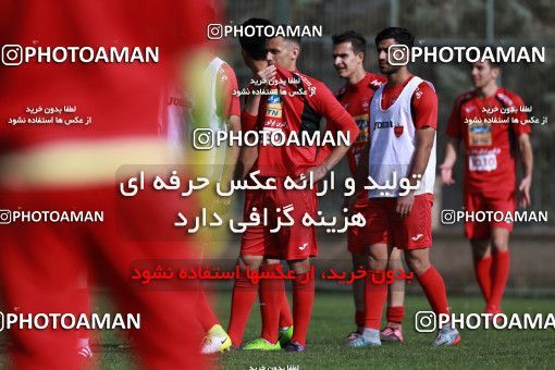 949060, Tehran, , Persepolis Football Team Training Session on 2017/11/22 at 