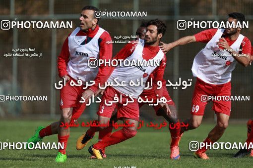 949225, Tehran, , Persepolis Football Team Training Session on 2017/11/22 at 