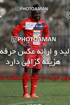 949077, Tehran, , Persepolis Football Team Training Session on 2017/11/22 at 