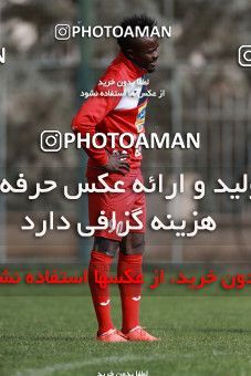 949076, Tehran, , Persepolis Football Team Training Session on 2017/11/22 at 