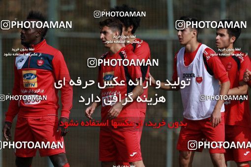 949247, Tehran, , Persepolis Football Team Training Session on 2017/11/22 at 
