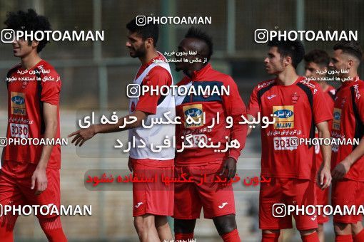 949428, Tehran, , Persepolis Football Team Training Session on 2017/11/22 at 