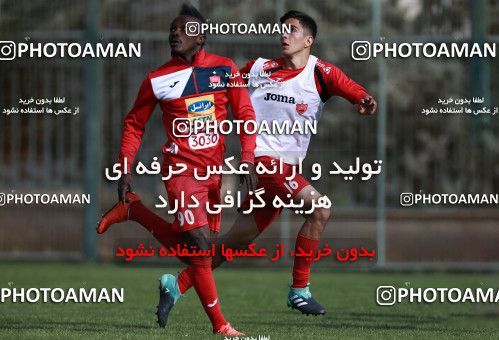 948760, Tehran, , Persepolis Football Team Training Session on 2017/11/22 at 