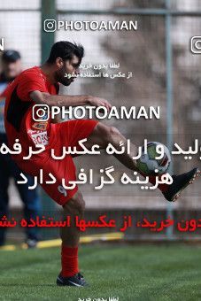 949441, Tehran, , Persepolis Football Team Training Session on 2017/11/22 at 
