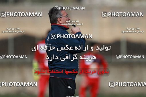949377, Tehran, , Persepolis Football Team Training Session on 2017/11/22 at 