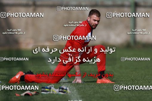 949128, Tehran, , Persepolis Football Team Training Session on 2017/11/22 at 