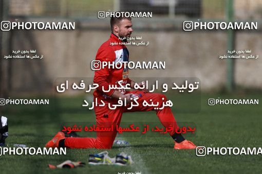 949374, Tehran, , Persepolis Football Team Training Session on 2017/11/22 at 