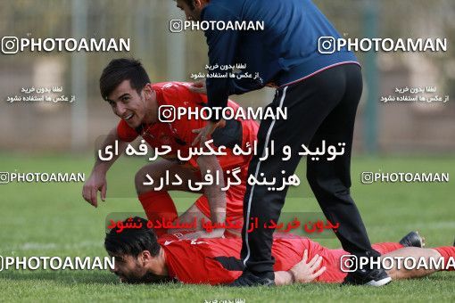 948841, Tehran, , Persepolis Football Team Training Session on 2017/11/22 at 