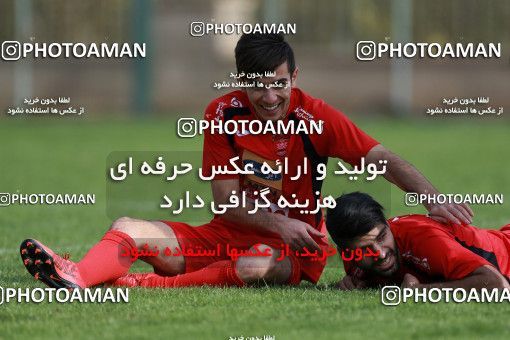 949360, Tehran, , Persepolis Football Team Training Session on 2017/11/22 at 