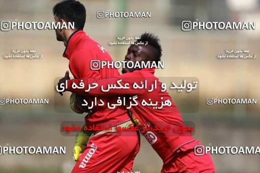 949021, Tehran, , Persepolis Football Team Training Session on 2017/11/22 at 