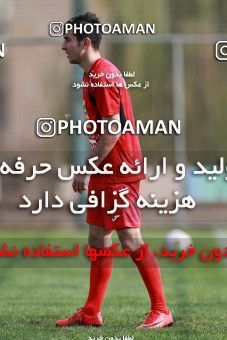948825, Tehran, , Persepolis Football Team Training Session on 2017/11/22 at 