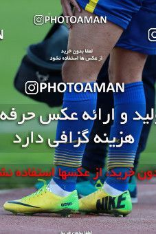 1035816, Tehran, Iran, لیگ برتر فوتبال ایران، Persian Gulf Cup، Week 20، Second Leg، Persepolis 1 v 1 Gostaresh Foulad Tabriz on 2018/01/18 at Azadi Stadium