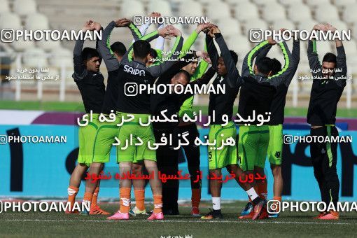 1015212, Tehran, [*parameter:4*], لیگ برتر فوتبال ایران، Persian Gulf Cup، Week 21، Second Leg، Saipa 1 v 0 Padideh Mashhad on 2018/01/25 at Shahid Dastgerdi Stadium