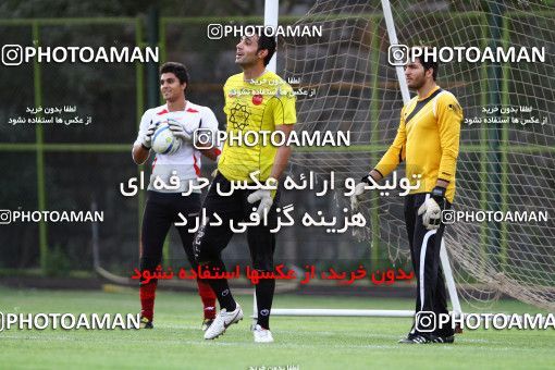 1029154, Tehran, , Persepolis Football Team Training Session on 2011/08/09 at Derafshifar Stadium