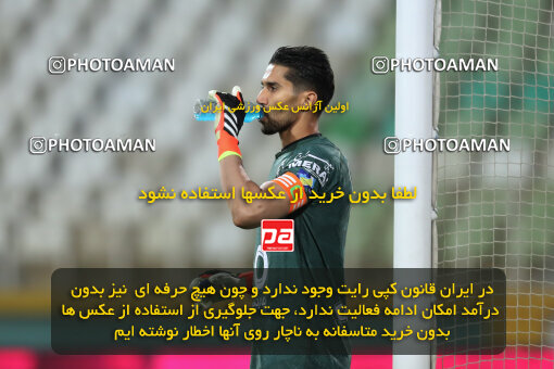 2241720, Iran pro league, 2023-2024، Persian Gulf Cup، Week 21، Second Leg، 2024/03/17، Tehran، Shahid Dastgerdi Stadium، Havadar S.C. 0 - ۱ Esteghlal